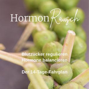 HormonRausch - Blutzucker regulieren, Hormone balancieren - Der 14-Tage-Fahrplan (E-Book) – Bild 1