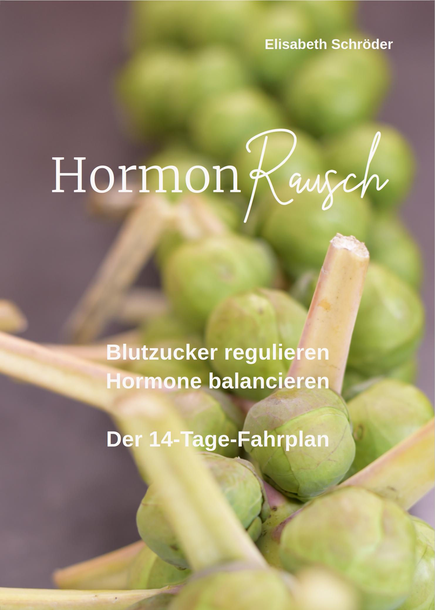 HormonRausch - Blutzucker regulieren, Hormone balancieren - Der 14-Tage-Fahrplan (E-Book) – Bild 1